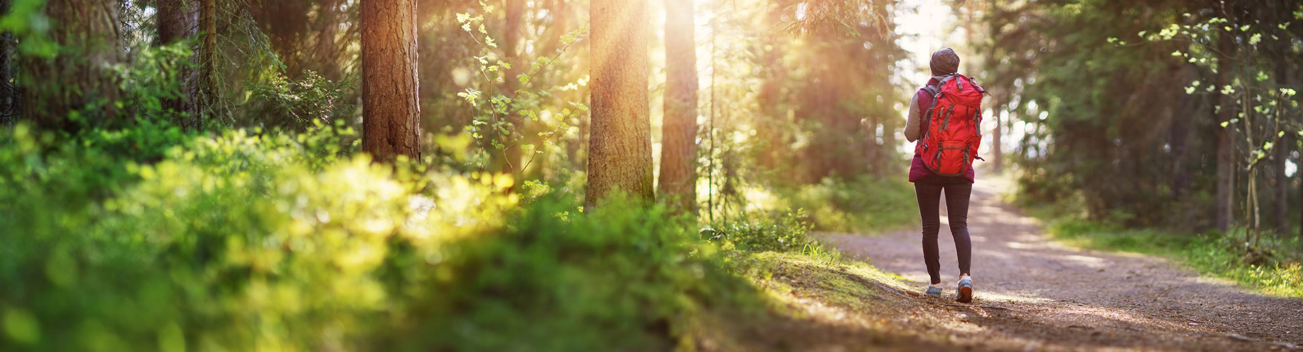 California Municipal Bond Program