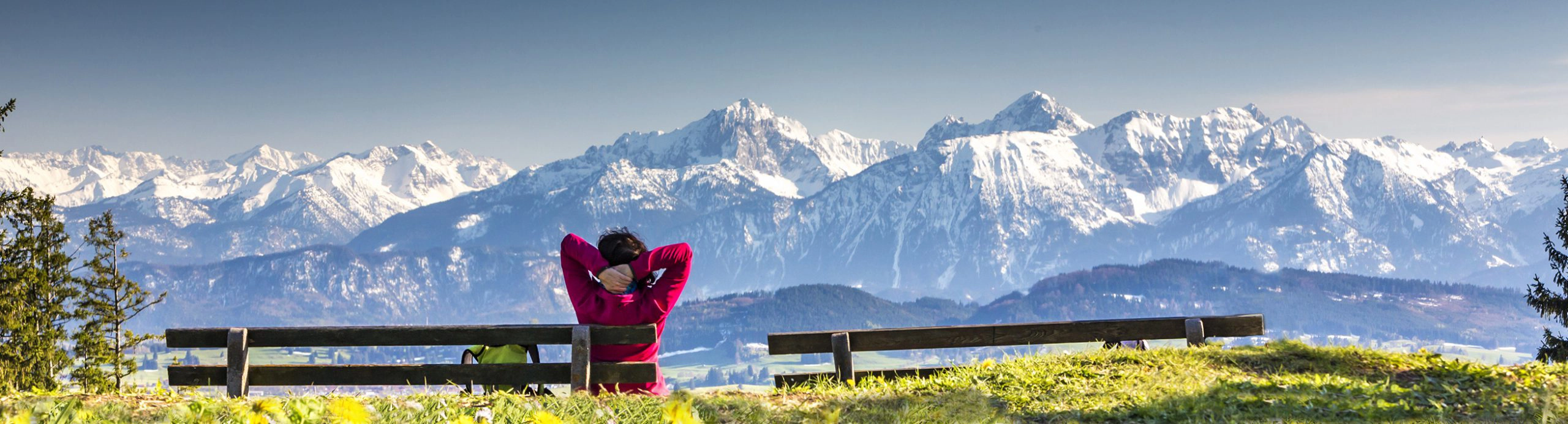 High Yield Corporate Bond Program​