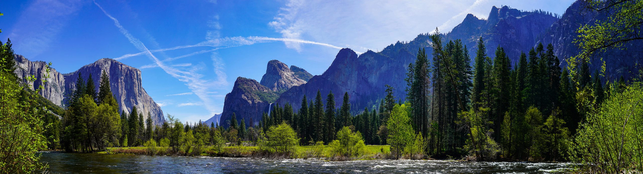 Tactical Bond Program​