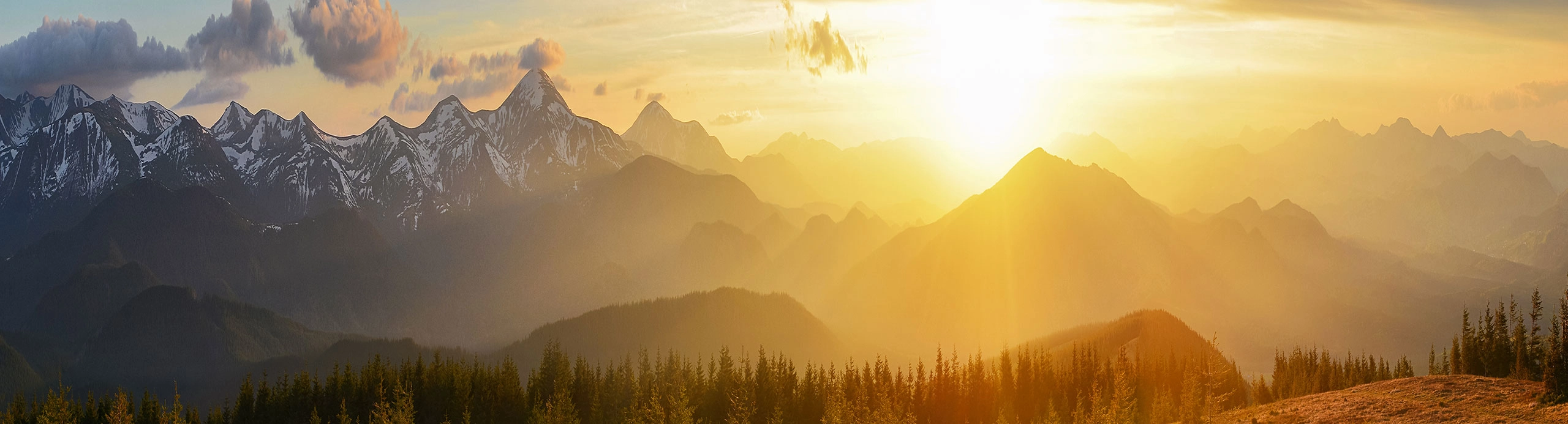 Moderate Allocation Program