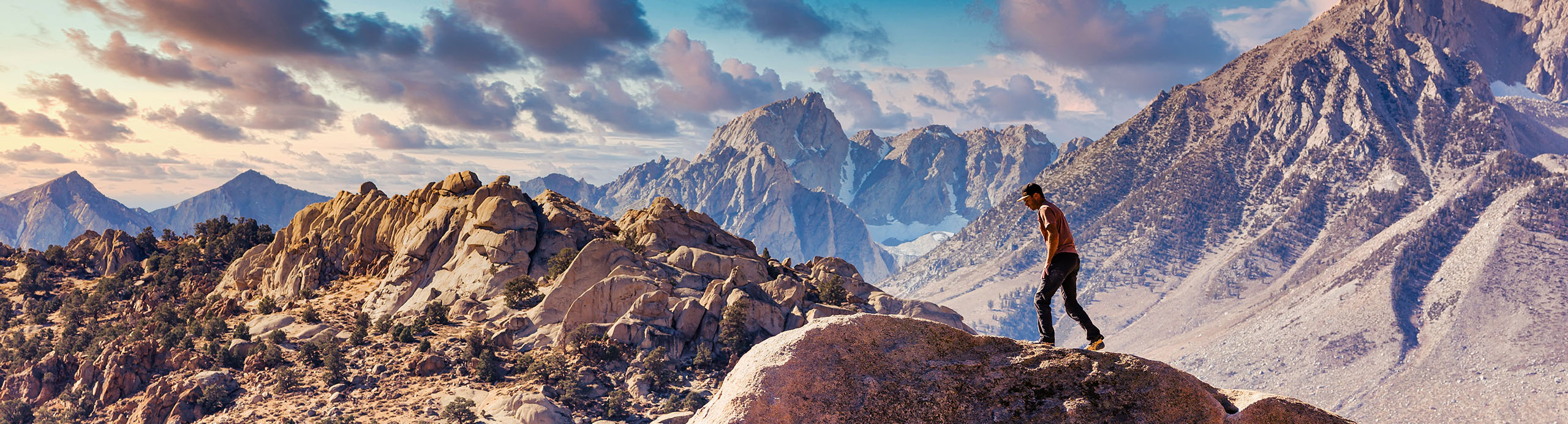 Strategic Income Program